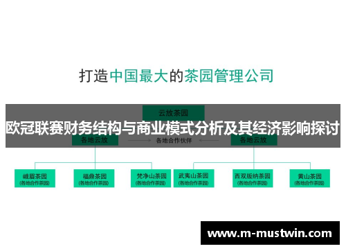 欧冠联赛财务结构与商业模式分析及其经济影响探讨