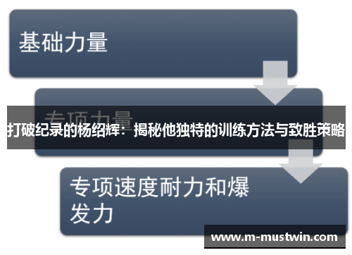 打破纪录的杨绍辉：揭秘他独特的训练方法与致胜策略