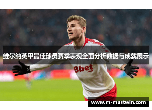 维尔纳英甲最佳球员赛季表现全面分析数据与成就展示