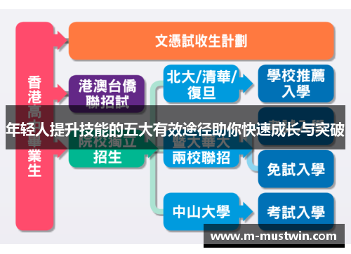 年轻人提升技能的五大有效途径助你快速成长与突破