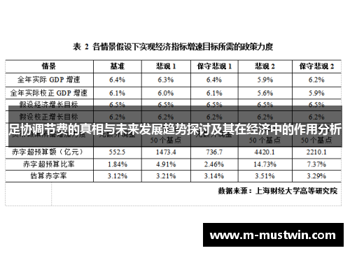 足协调节费的真相与未来发展趋势探讨及其在经济中的作用分析