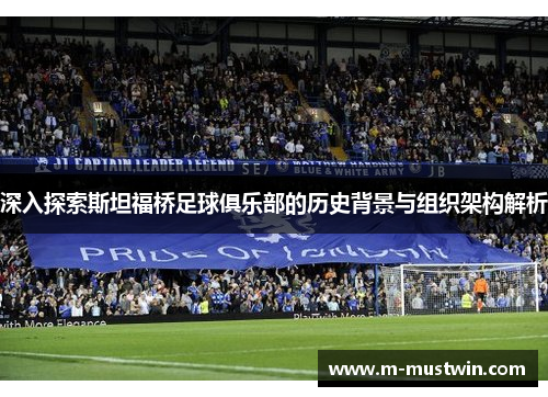 深入探索斯坦福桥足球俱乐部的历史背景与组织架构解析
